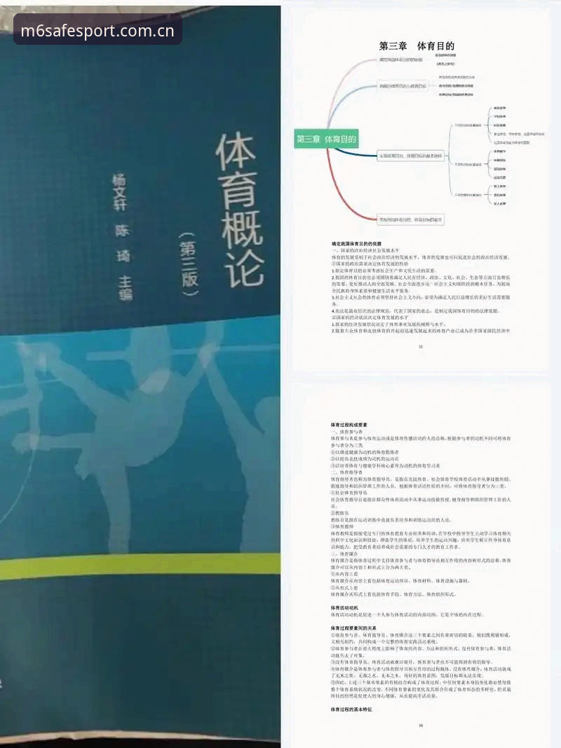 M6体育专业数据 M6体育专业数据实用指南:从入门到精通的必备知识